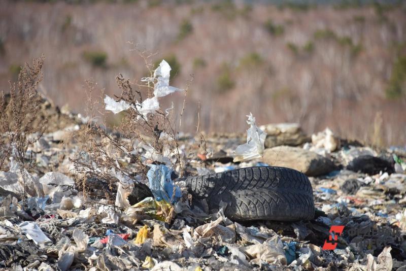Пластик на берегу Байкала – одна из главных экологических угроз