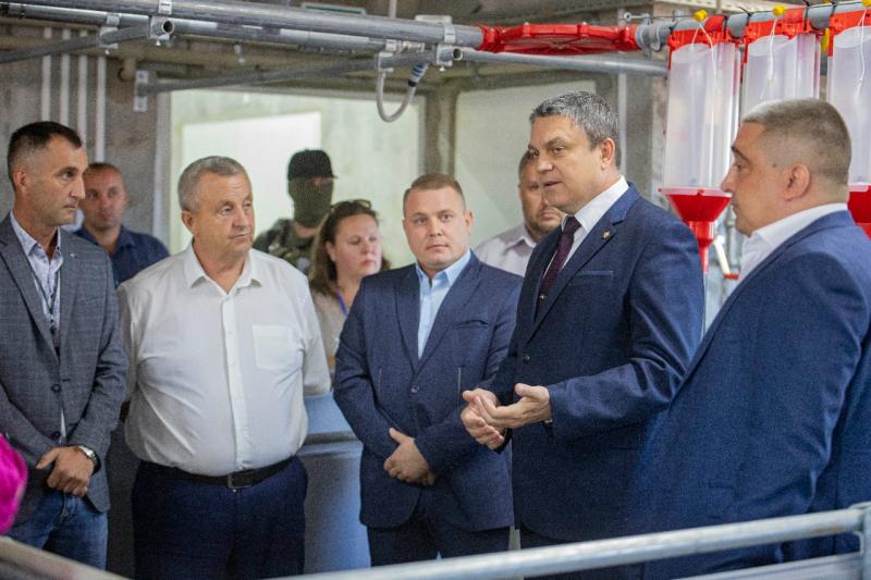 Строительство