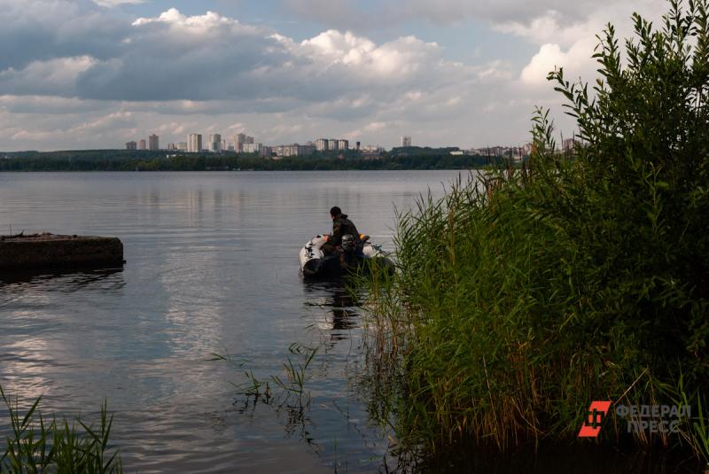 Мертвые туши рыбы тюменцы обнаружили вдоль озера Оброчное