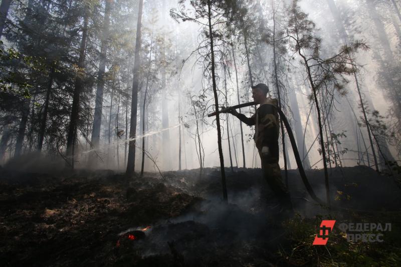 Пожары в лесах Рязанской области