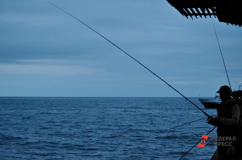 Рыбаки заметили мертвого кашалота в море