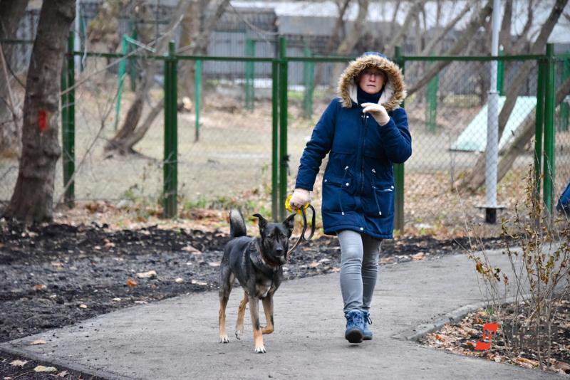 В начале октября в Приморье вновь придет похолодание