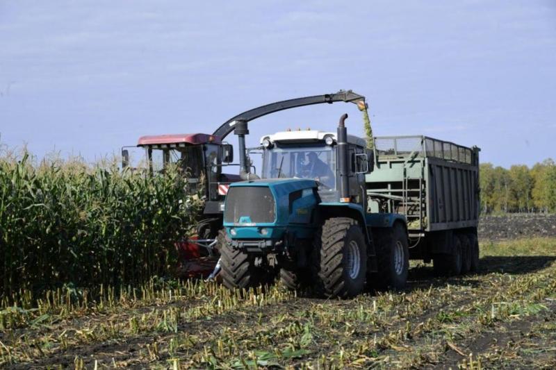 Сельское хозяйство