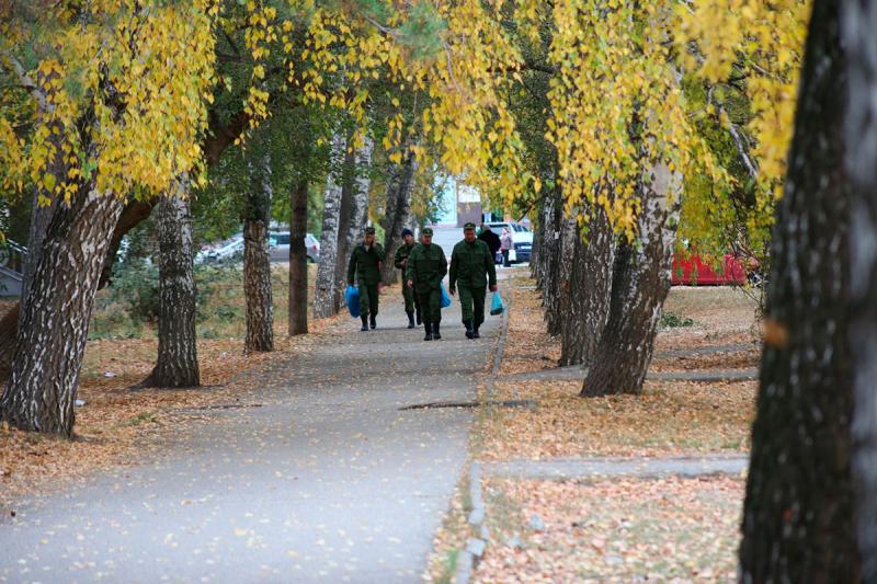 Мобилизация