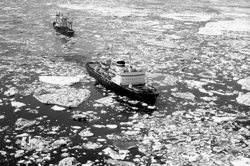 Проект «Арктические экспедиции 1920-30 годов» рассказывает, как удалось сделать прорыв в исследовании и освоении Севера
