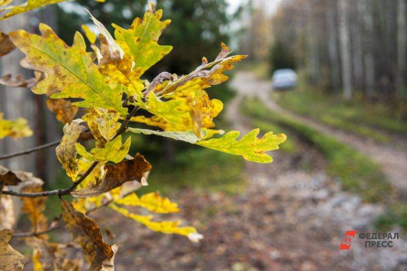 В некоторых районах пройдут небольшие осадки