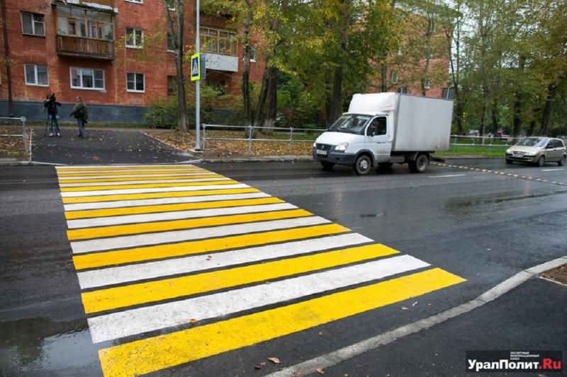 Зебру видно при любой погоде