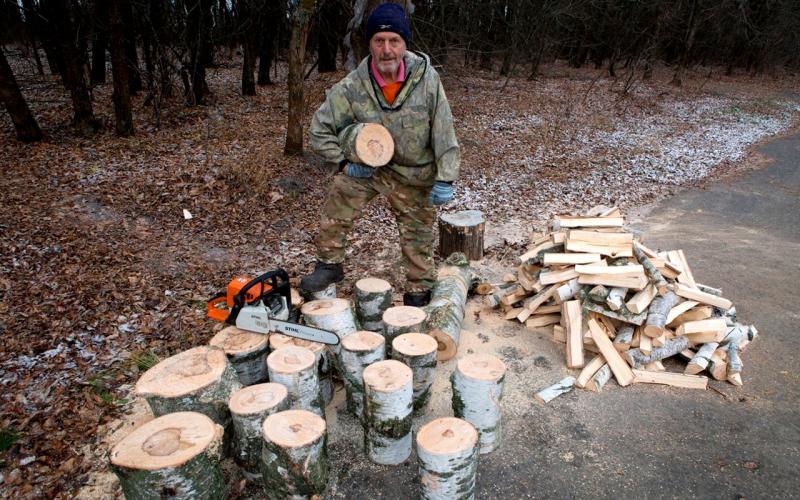 Тюменец нанес вред лесу на 41 рубль