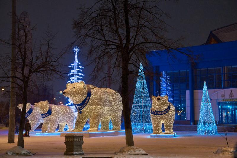 Медведи Тюмень