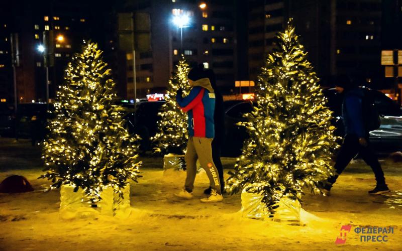 В Тюмени Гринч с подельниками сняли игрушки с новогодней елки
