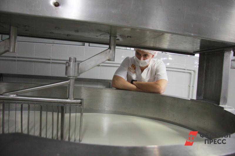 Тюменские производители молочной продукции жалуются на дорогое сырье: нужны субсидии от государства