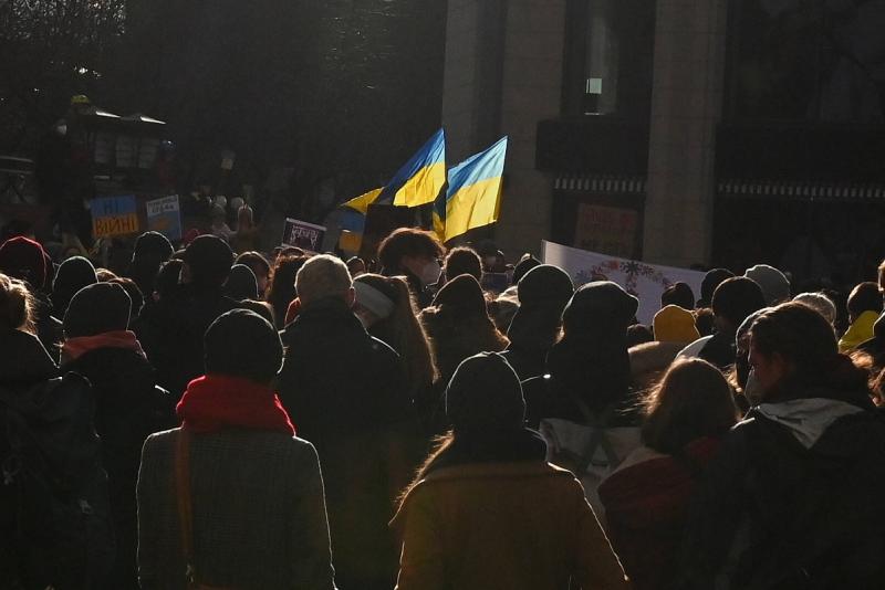 люди с флагами украины в лондоне