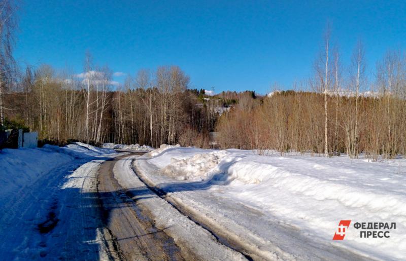 Лесная проселочная дорога среди деревьев зимой с колеями от колес машин
