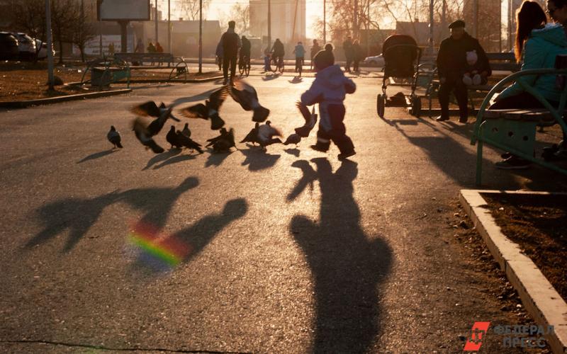 Тюменцы предлагают способы борьбы с голубями, которые атаковали площадь Солнца