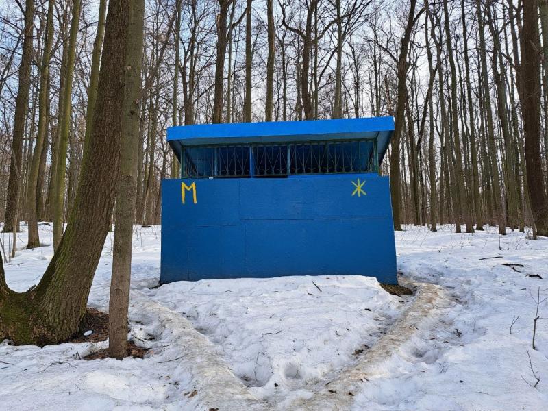 На ремонт скамейки пошло 8 больших