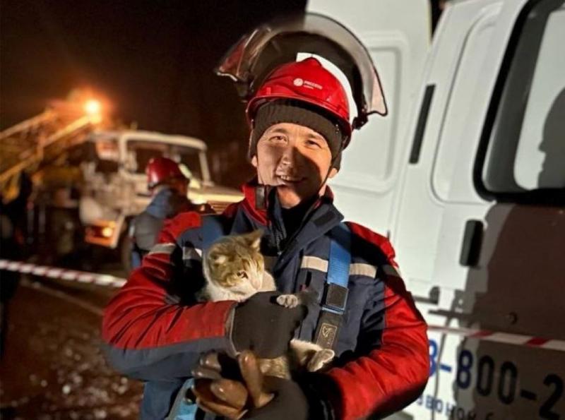 Для Аймира Саая это уже второй спасенный кот в его карьере