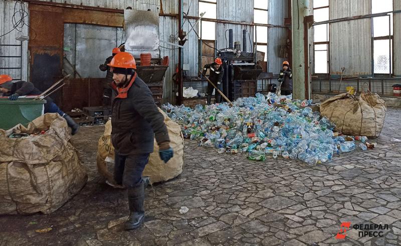 Доля сортировки в новосибирском мусоре до сих пор исчезающе мала