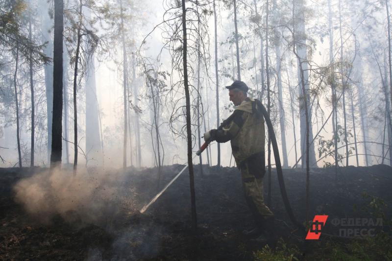Вблизи поселка Боровский Тюменского района тушили ландшафный пожар