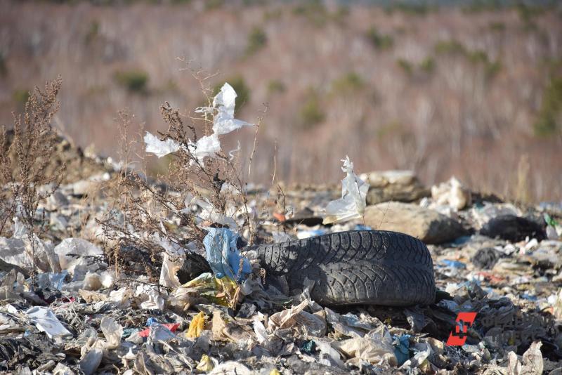Жители Большого и Малого городища Тюмени продолжают бросать в лог мусор и сливать канализацию