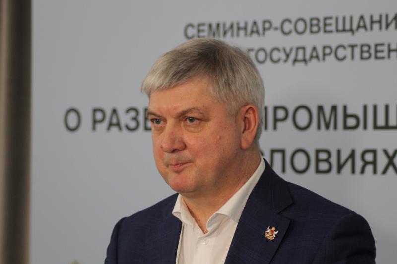 Губернатор Воронежской области Александр Гусев