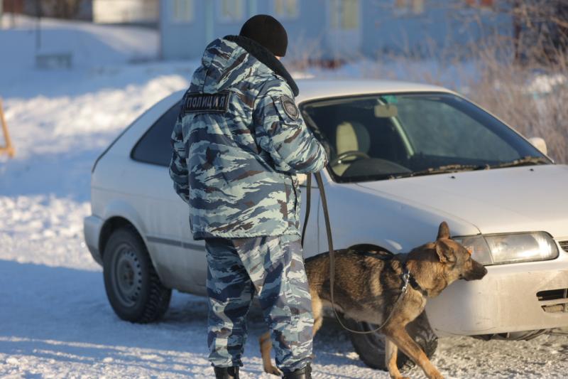 Полиция с собакой