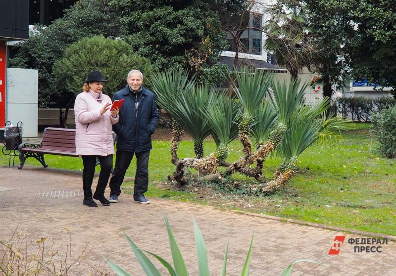 Жители Сочи активно обсуждают фото необычных грибов