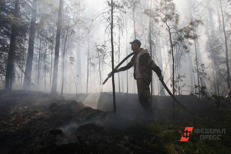 Федеральная лесохрана прогнозирует сильные пожары в южной части Тюменской области