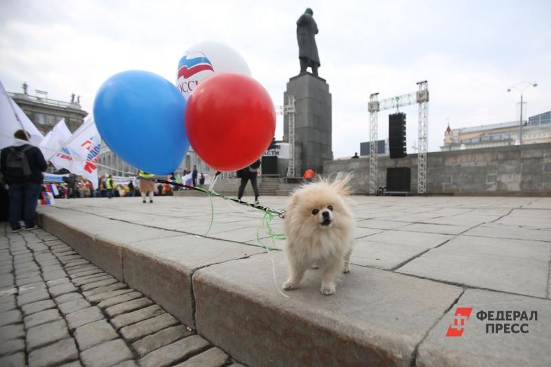 Штрафы за самовыгул собак могут составить десятки тысяч рублей