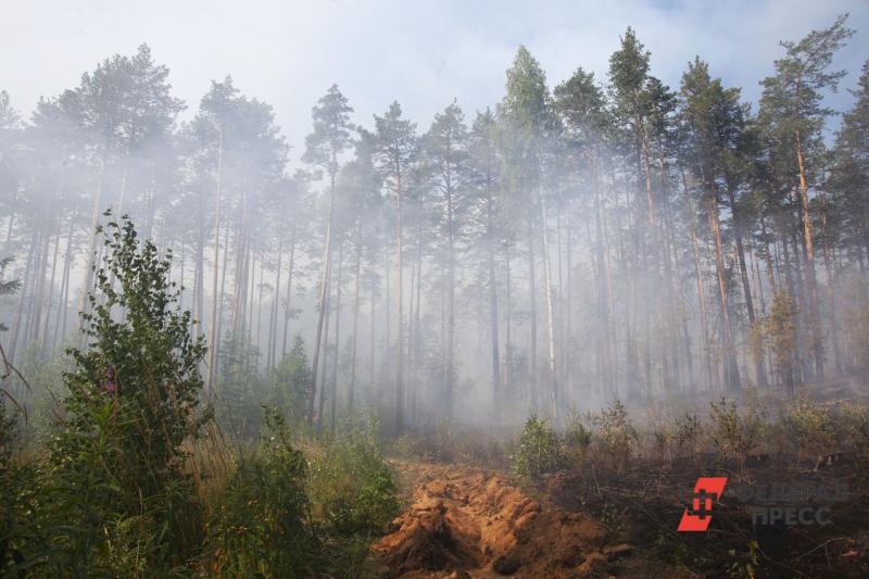 Под Березовским горят около 300 гектаров леса