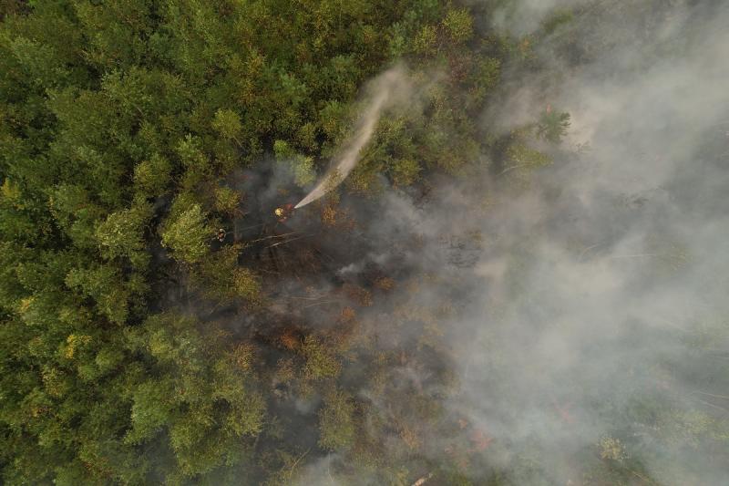 дым от пожара в лесу