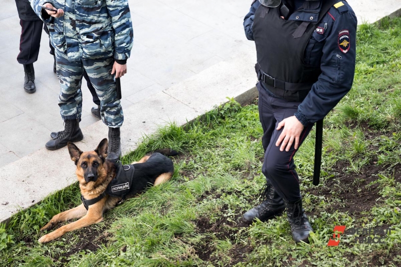 Полицейские с собакой