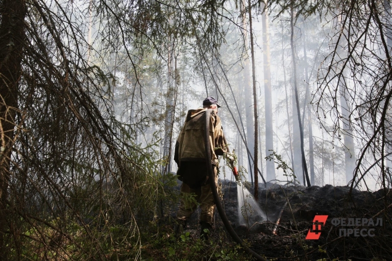 Сотрудник МЧС тушит лесной пожар в 2023 году
