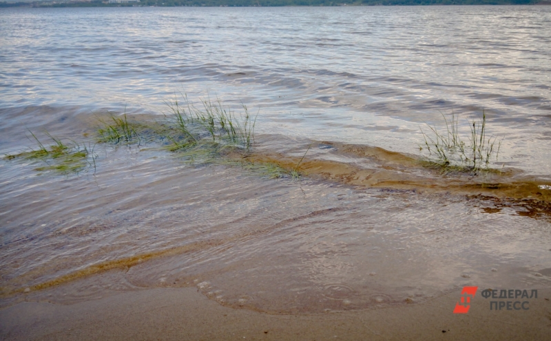 берег, водоем