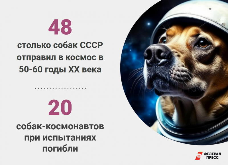 Собаки в космосе Статистика