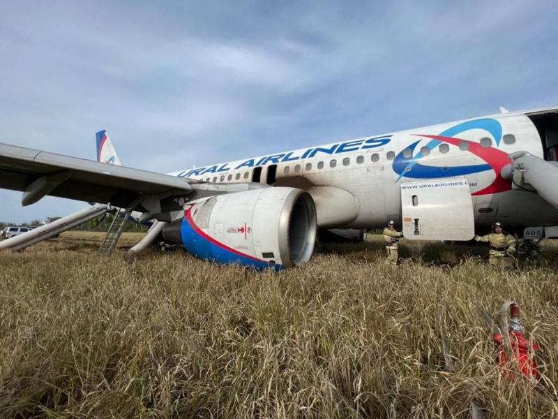 Самолет Airbus A320 после посадки в поле под Новосибирском