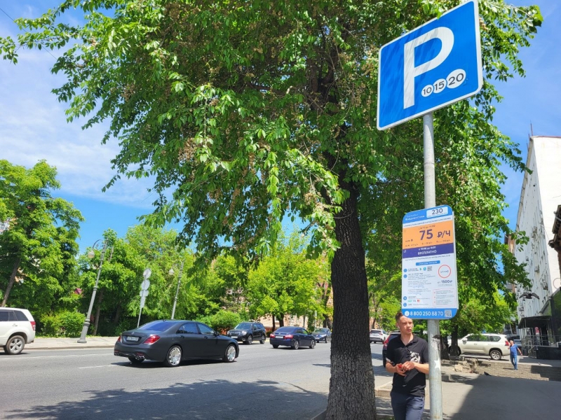 Платные парковки Владивостока