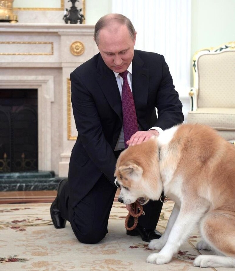 Владимиру Путину часто дарят собак