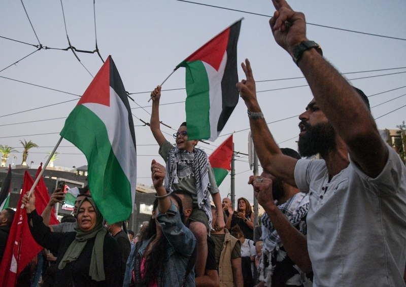 протестующие с флагами палестины