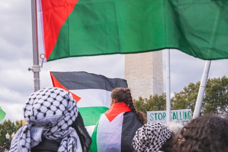люди с флагами палестины
