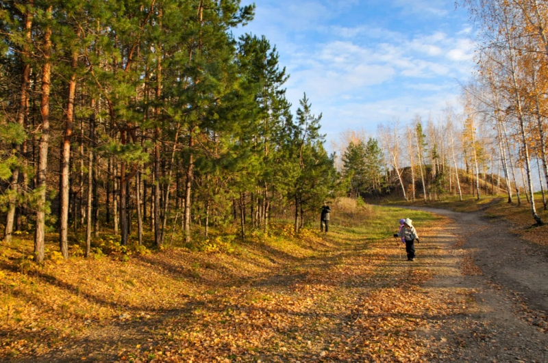 Прогулка