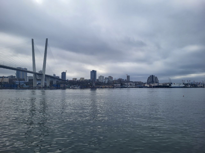 Вид на Золотой мост во Владивостоке
