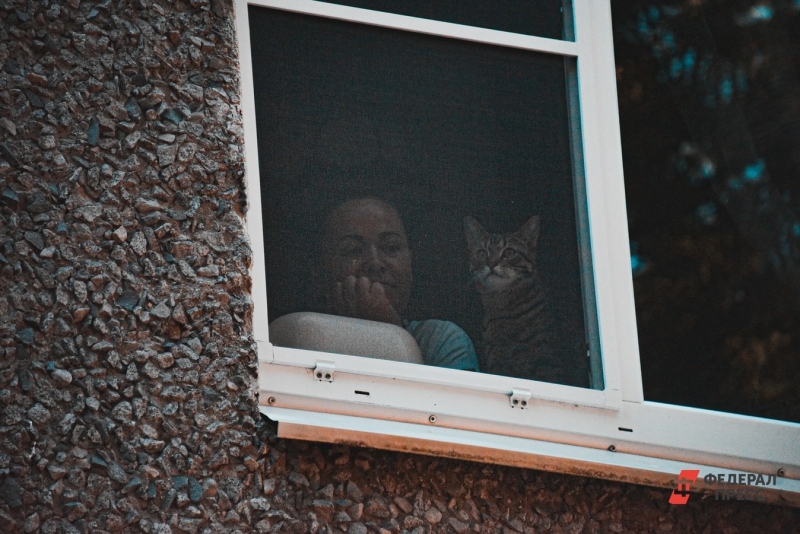 Женщина с кошкой смотрит в окно