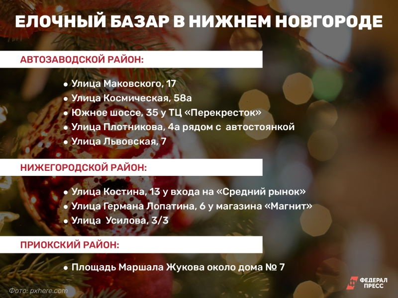 Где купить живую ель в Нижнем Новгороде: список