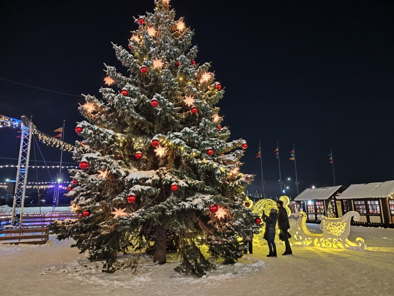 Жители Ростова хотят яркую елку