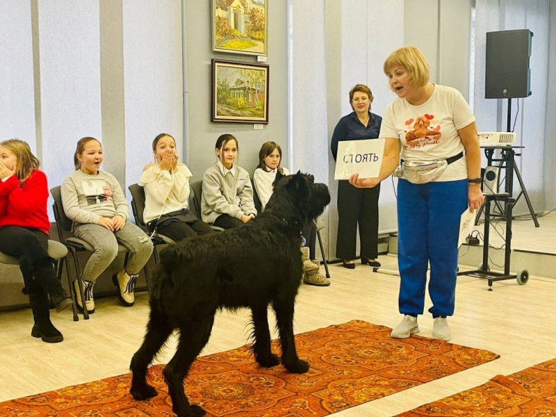 Дети занимаются с собаками