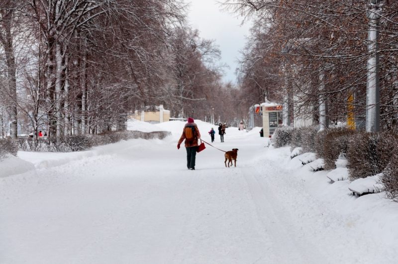 Женщина гуляет с собакой в парке