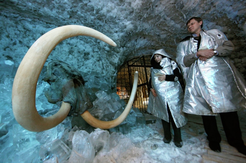Пробы для извлечения зомби-вирусов ученые брали на территории Сибири, в том числе в Якутии