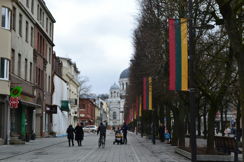 Улица в городе Каунас с литовскими флагами
