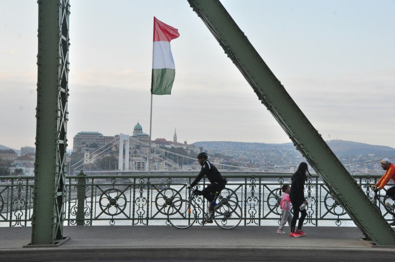 Венгерский флаг