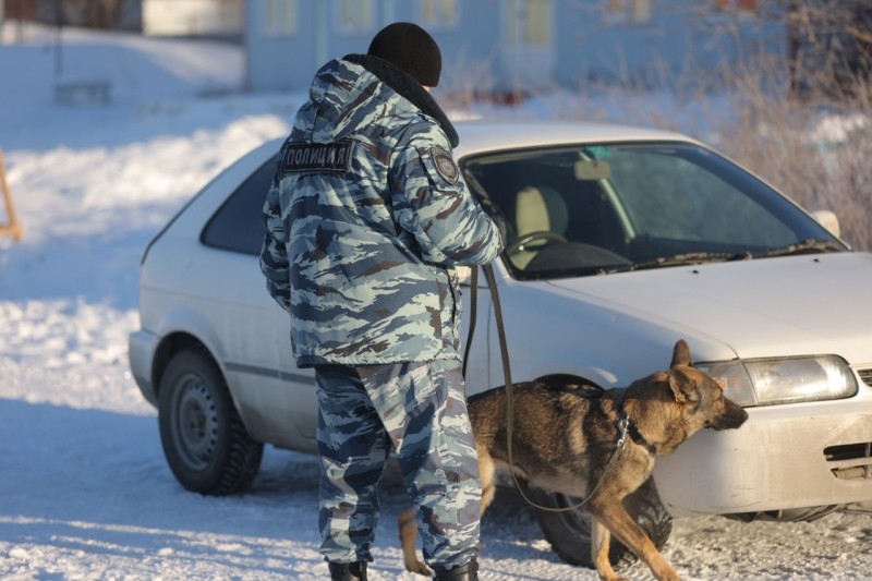 Служебная собака